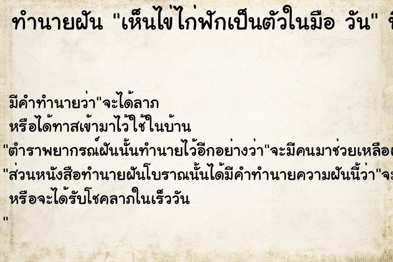 ทำนายฝัน เห็นไข่ไก่ฟักเป็นตัวในมือ วัน